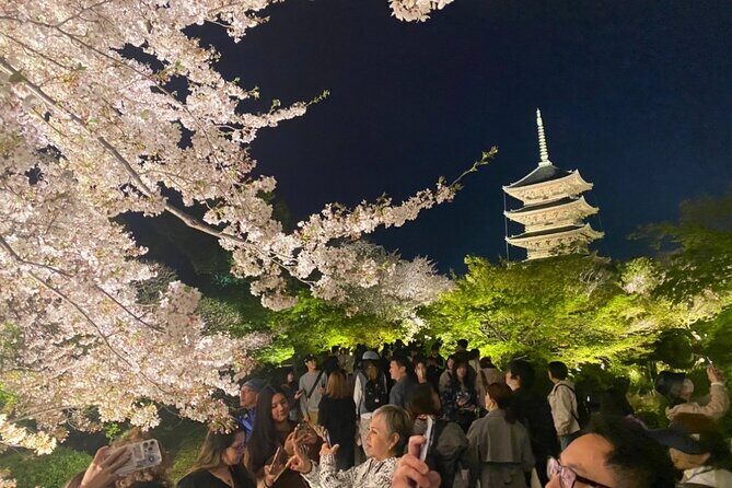 Full Day Private Tour in Kyoto with Pickup - FAQ