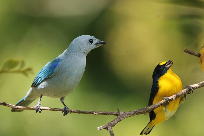 Full Day Private Tour in Monteverde, Costa Rica - Whats Included and Whats Not