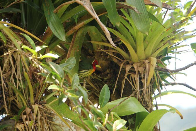 Full Day Private Tour in Monteverde, Costa Rica - Why Choose This Tour?