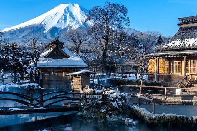Full Day Private Tour in Mt. Fuji and Hakone - Full Day Private Tour in Mt. Fuji and Hakone: A Detailed Review