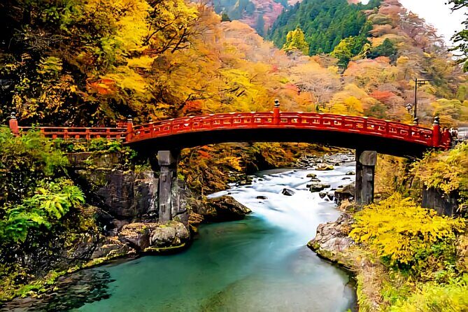 Full Day Private Tour in Nikko - Who Will Love This Tour?
