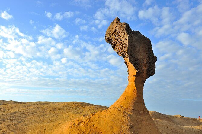 Full-Day Private Tour in Northern Taiwan - Yehliu Geopark: Nature’s Sculpted Masterpieces