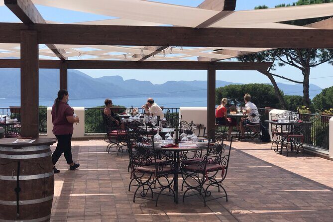 Full Day Private Tour in Pompeii, Vesuvio and Sorrento - Who Should Consider This Tour?