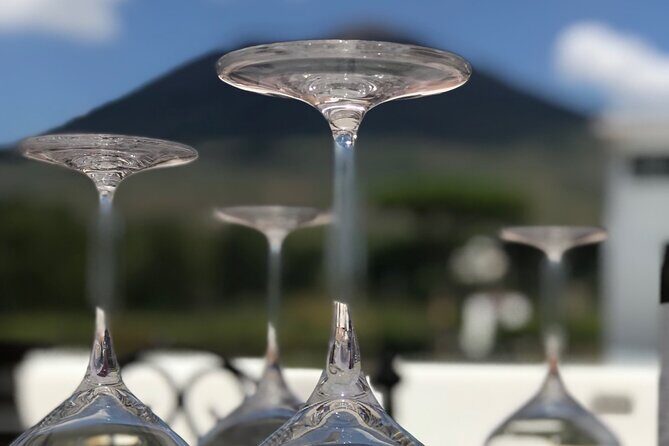 Full Day Private Tour in Pompeii, Vesuvio and Sorrento - Wrapping It Up