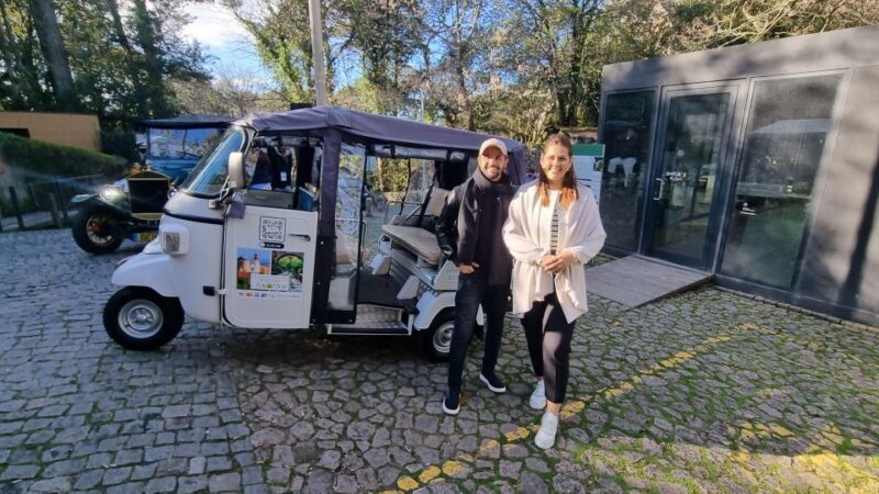 Full Day Private Tour in Sintra on a Tuk Tuk or Car - Authentic Insights from Travelers