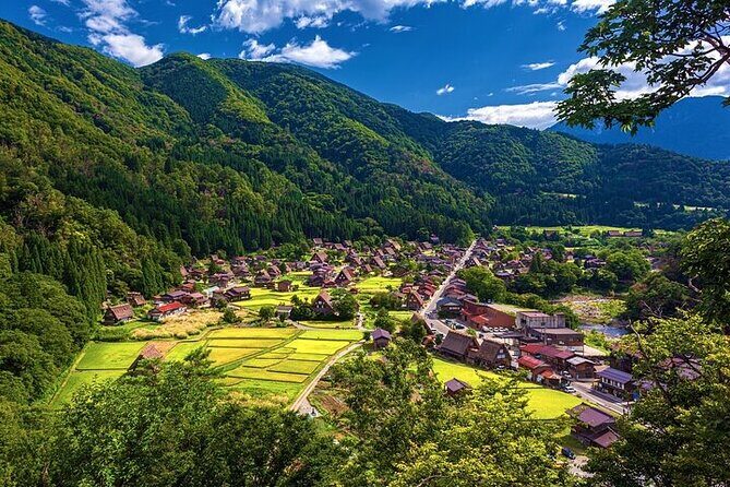 Full Day Private Tour in Takayama Old Township and Shirakawago - Why This Tour Works Well for Certain Travelers