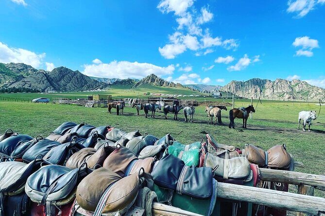 Full Day Private Tour in Terelj National Park with Horse Riding - Who Will Love This Tour?