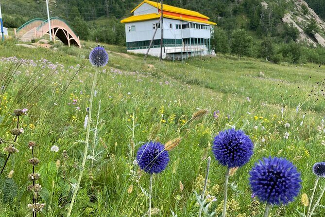 Full Day Private Tour in Terelj National Park with Horse Riding - FAQ