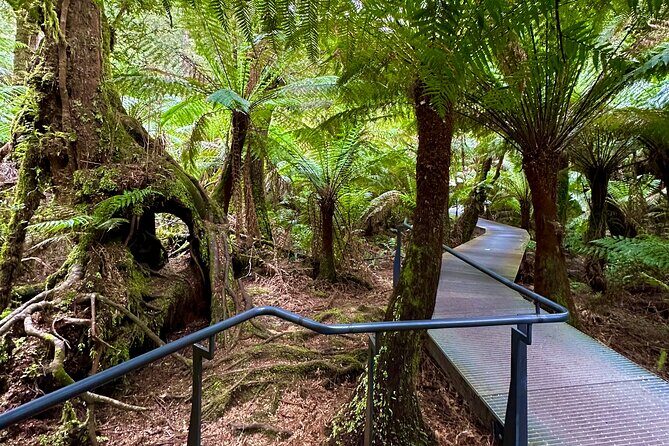 Full-Day Private Tour in Victoria - Who Should Consider This Tour?