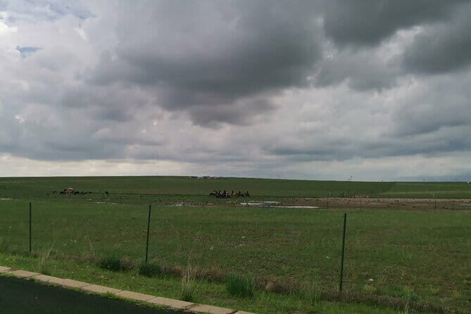 Full-Day Private Tour in Xilamuren Grassland with Lunch - Practical Tips and Considerations