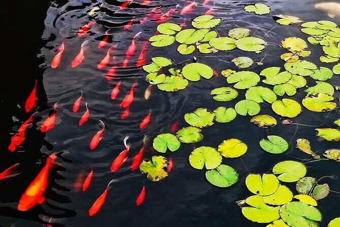 Full Day Private Tour Incredible Hangzhou Highlight - FAQs