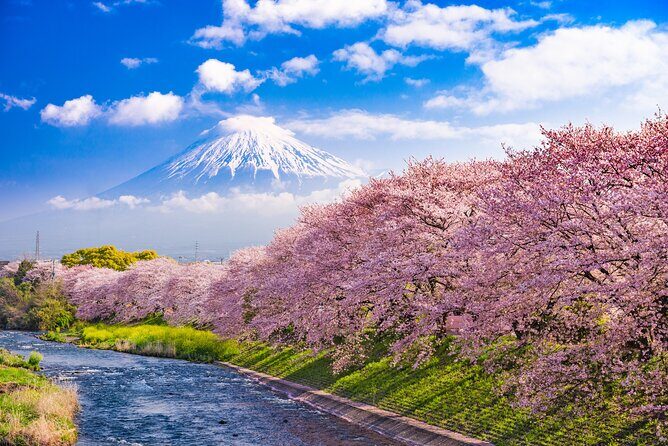 Full Day Private Tour Mt. Fuji, Hakone and Lake Ashi - Exploring the Itinerary in Detail