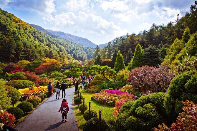 Full Day Private Tour Nami Island, Garden & Petite France - The Sum Up