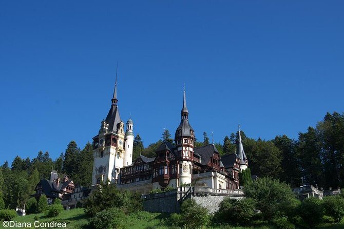 Full-Day Private Tour of Brasov City and Peles Castle from Bucharest - Practical Details & Tips