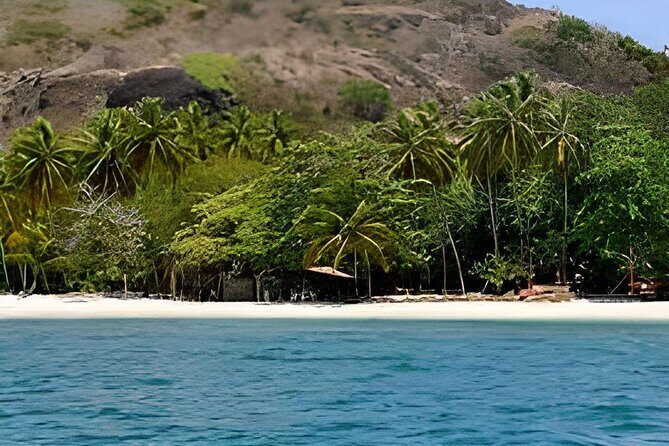 Full-Day Private Tour of El Totumo and Manzanillo with Lunch - FAQs