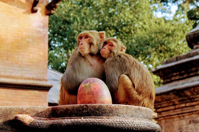 Full Day Private Tour of Kathmandu - UNESCO World Heritage Sites - Final Thoughts