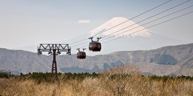 Full Day Private Tour of Mt Fuji and Hakone - Experience the Best of Mount Fuji and Hakone in One Day