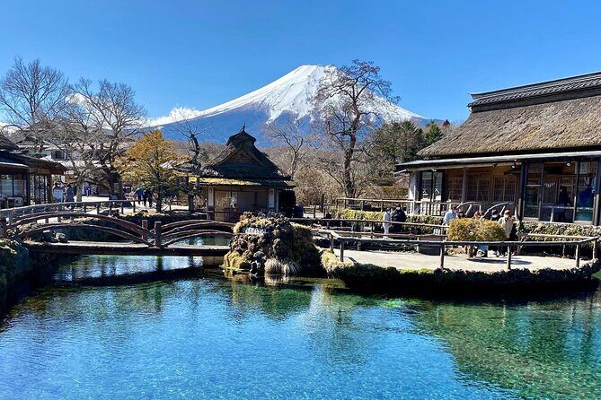Full Day Private Tour of Mt Fuji and Hakone - Who Will Love This Tour?