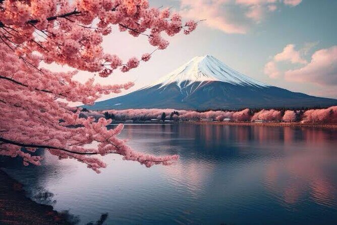 Full Day Private Tour of Mt Fuji - Who Will Love This Tour?