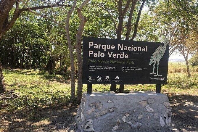 Full Day Private Tour of Palo Verde National Park - Exploring the Full Day Private Tour of Palo Verde National Park