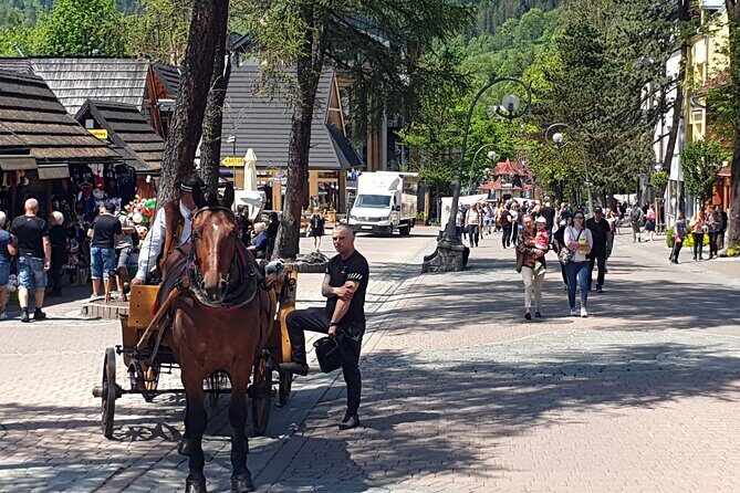 Full-Day Private Tour of Slovakia Treetop Walk and Zakopane - Who Should Consider This Tour?
