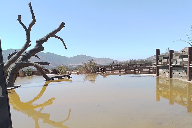 Full Day Private Tour or Guadalupe Valley Weekend - Key Points