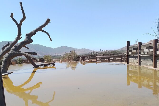 Full Day Private Tour or Guadalupe Valley Weekend - An In-Depth Look at the Guadalupe Valley Private Tour