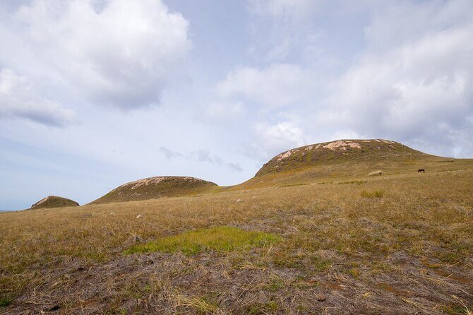 Full day Private Tour: Poike Walk through the abandoned area - Explore the Remote Corners of Rapa Nui with a Full-Day Private Tour