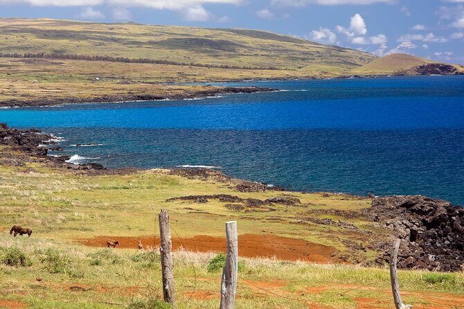 Full day Private Tour: Poike Walk through the abandoned area - Practical Tips for Booking and Enjoying the Tour