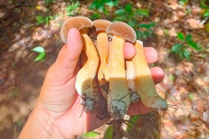 Full Day Private Tour Sightseeing to Phu Quoc with Licensed Guide - A Closer Look: What to Expect from the Full 7-Hour Itinerary