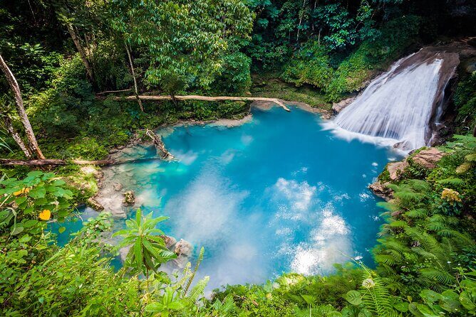 Full Day Private Tour to Blue Hole, Secret Falls & Dunn's River - A Closer Look at the Itinerary