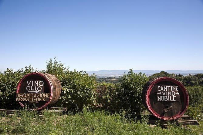 Full day private tour to Chianti wine region from Florence - FAQ