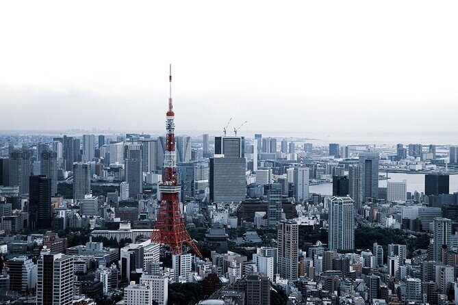 Full-Day Private Tour to Discover The Best of Tokyo - The Sum Up