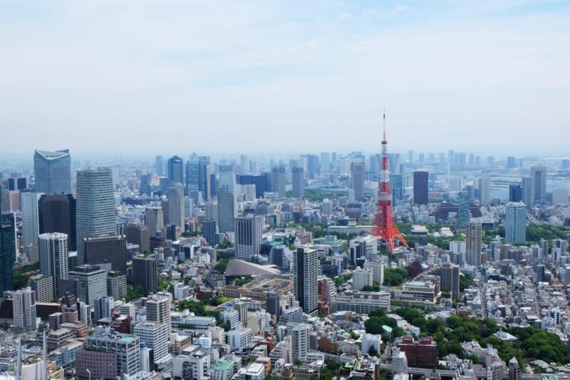 Full-Day Private Tour to Discover The Best of Tokyo - Practical Considerations and Value