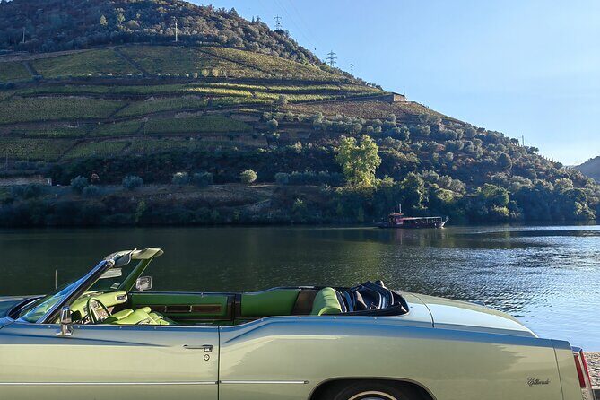 Full Day Private Tour to Douro - Vintage Experience - References