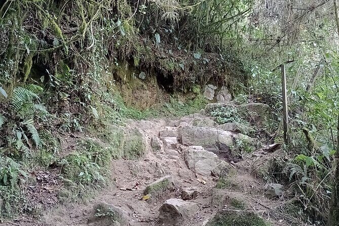 Full-Day Private Tour to La Chorrera Waterfall and El Chiflón - Final Thoughts