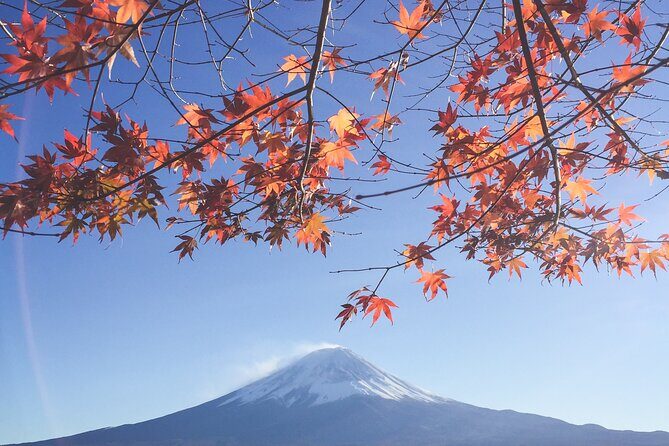 Full Day Private Tour to Mt Fuji by Luxury Vehicle - Who Will Love This Tour?