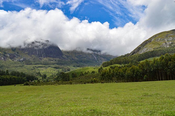 Full-Day Private Tour to Munnar from Kochi with Lunch - Key Points