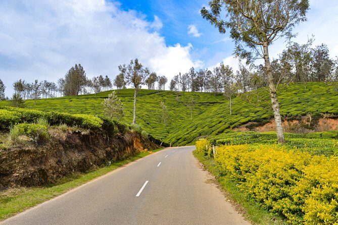 Full-Day Private Tour to Munnar from Kochi with Lunch - A Deep Dive into the Munnar Experience