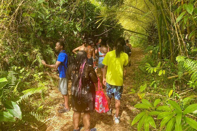 Full-Day Private Tour to Tinajas Waterfalls in El Yunque - FAQ