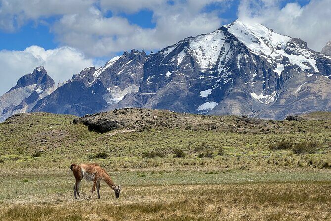 Full Day Private Tour to Torres del Paine - Final Thoughts: Who Should Choose This Tour?
