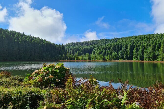 Full Day Private Tour West & East in São Miguel Island - Final Thoughts: Is This Tour Right for You?