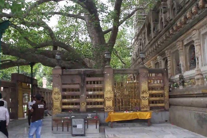 Full Day Private Trip to Bodhgaya from Varanasi - FAQ – Your Practical Questions Answered