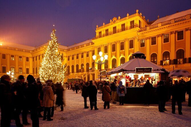 Full Day Private Vienna Christmas Market tour from Budapest with lunch - A Deep Dive Into the Experience