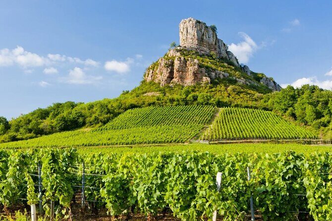 Full Day Private Vintage Land Rover Tour of Beaujolais & Burgundy - Key Points