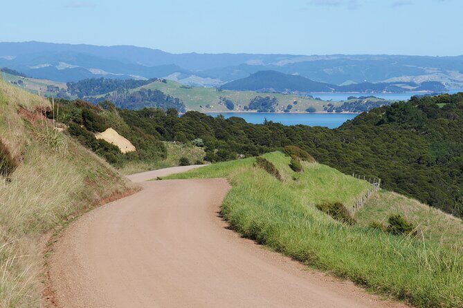Full Day Private Waiheke Island Wine Tour Including Lunch - Authentic Reviews from Past Participants