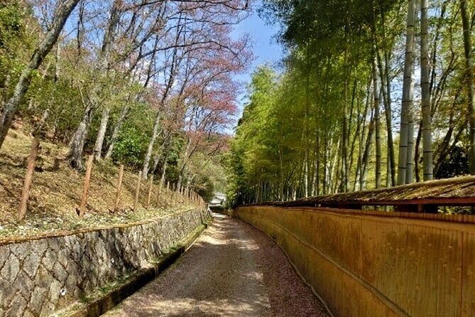 Full Day Private Walking Day Tour in Kyoto with Tea - FAQ