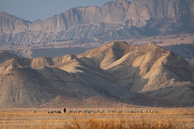 Full-Day Private Wilderness Tour in Vashlovani National Park - FAQs