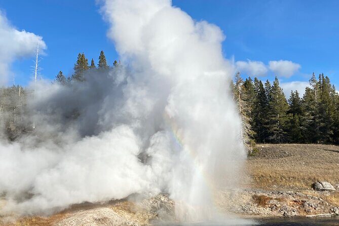 Full Day Private Wildlife/Geyser Tour from West Yellowstone - A Closer Look at the Yellowstone Private Tour: What to Expect