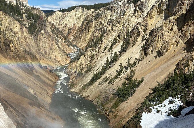 Full Day Private Wildlife/Geyser Tour from West Yellowstone - The Bottom Line